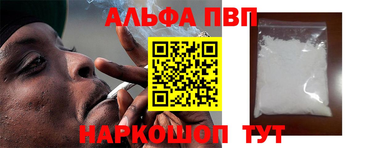 Alfa_PVP СК Славгород