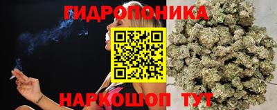 дурь Новозыбков