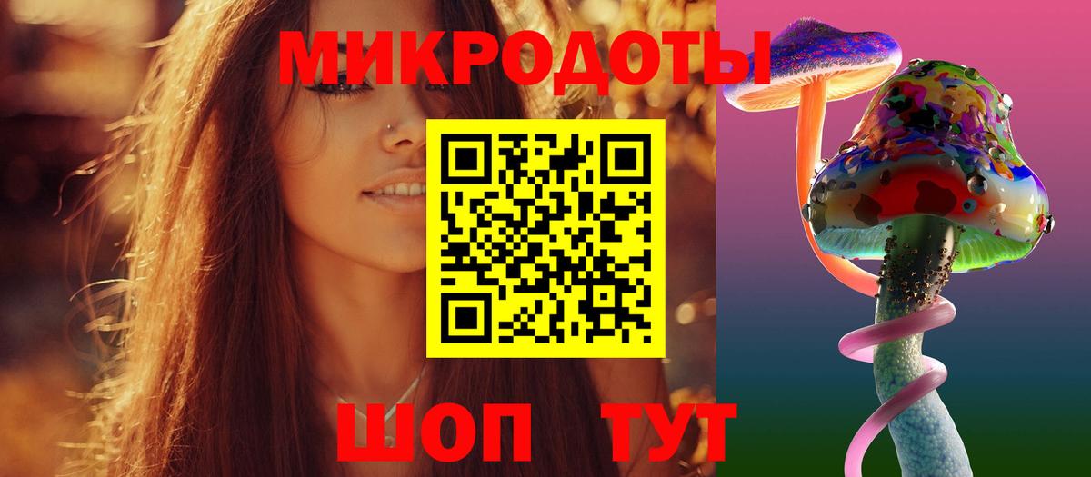 Славгород  Псилоцибиновые грибы мицелий  Вход с VPN  Галлюциногенные грибы Magic Shrooms 